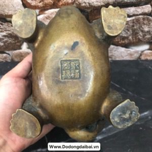 do-dong-dai-bai