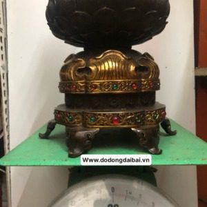 do-dong-dai-bai