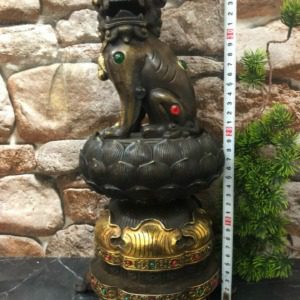 do-dong-dai-bai